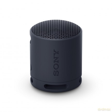 Srs-Xb100 Speaker Wrls Nero
