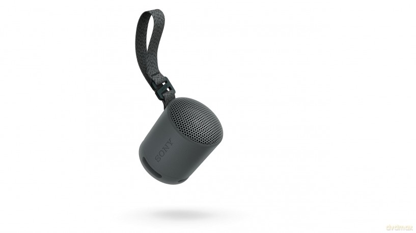 Srs-Xb100 Speaker Wrls Nero