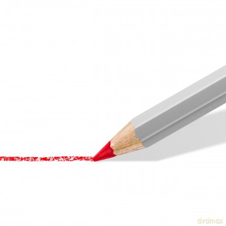 Staedtler Trockenmarker Nonpermanent GrüN 12 StüCk