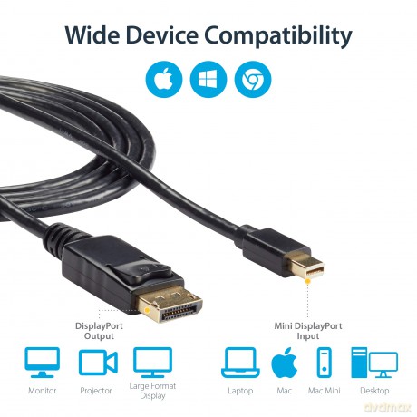 Startech 10 Feet Mini Displayport To Displayport Adapter Cable - M/M