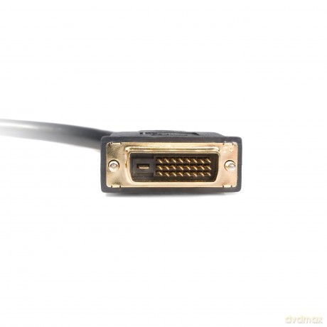 Startech 30 Cm Dvi-D To 2 X Dvi-D Digital Video Splitter Cable, Dual Link Dvi-D Y Cable, Mirror A Dvi-D Display To 2 Displays, 1 Ft