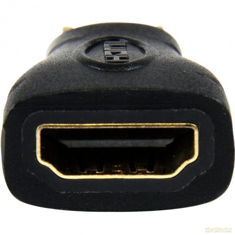 Startech Hdmi Female To Mini Hdmi Male Adapter For Camera To A High Definition Tv/Monitor