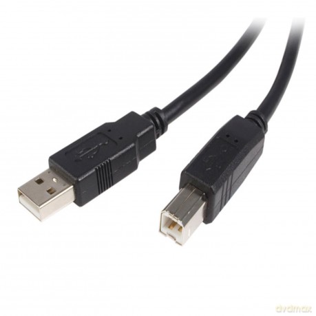 Startech.Com 2m Usb 2.0 A Male To B Male Connectors Cable