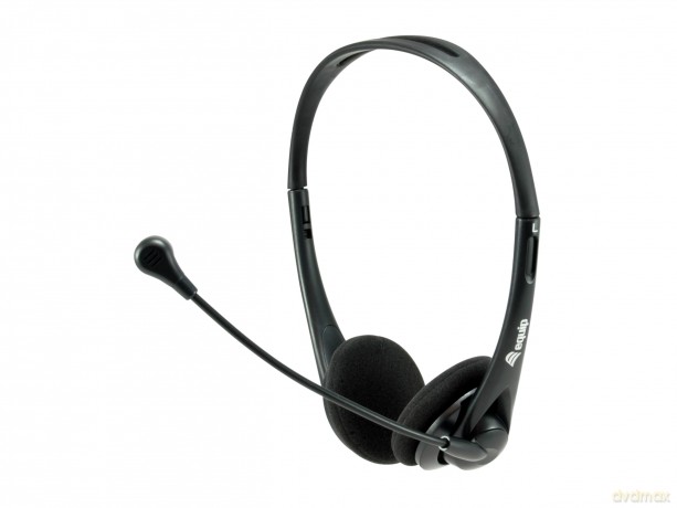 Stereo Headset With Mute