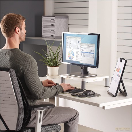 Supporto Monitor Standard