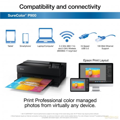 Surecolor Sc-P900