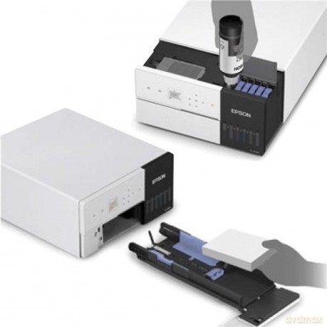 Surelab Sl-D500