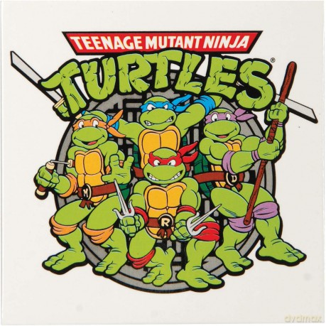 Teenage Mutant Ninja Turtles Fridge Magnet: Group Graphic