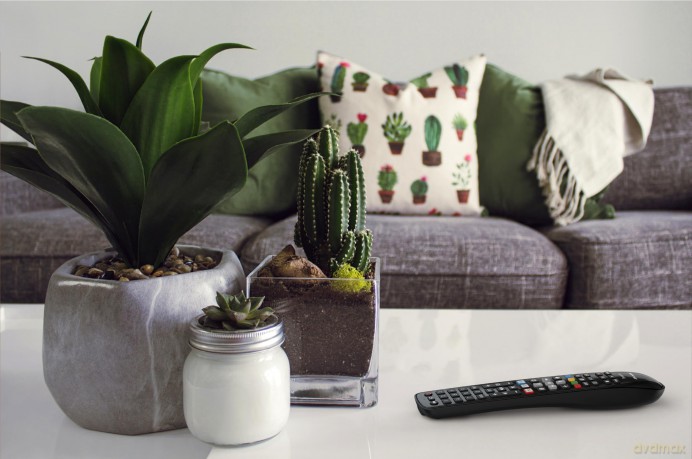 Telecomando Gumbody Pers 4+