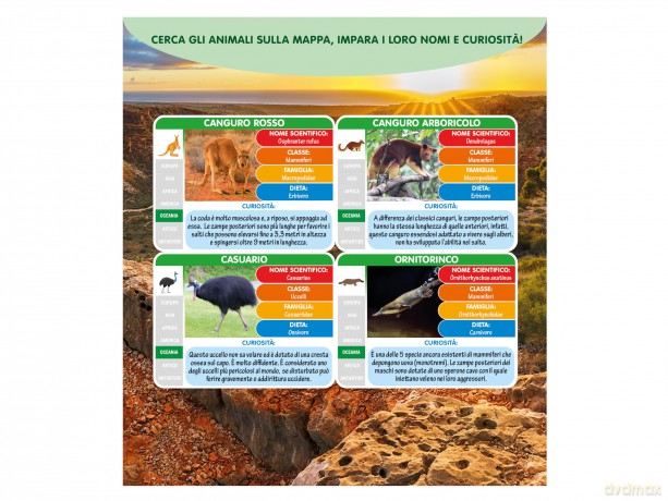 Teorema: Geo Nature - Animali Dell'Australia - Busta