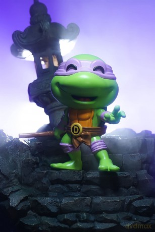 TMNT Turtles Donatello #1