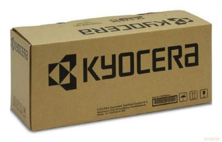 Toner Giallo Tk-5480y Ecosys Pa2101