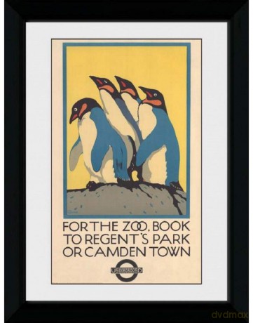 Transport For London: Zoo (30mm Black) (Stampa In Cornice 50x70 Cm)