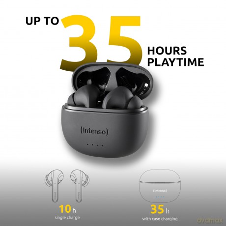 True Wireless Earphone Black