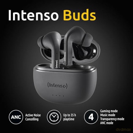 True Wireless Earphone Black