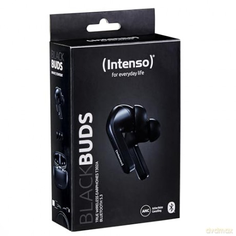 True Wireless Earphone Black