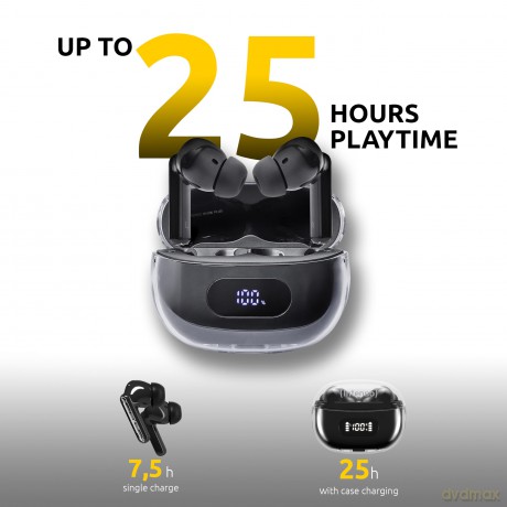 True Wireless Earphone Black Plus