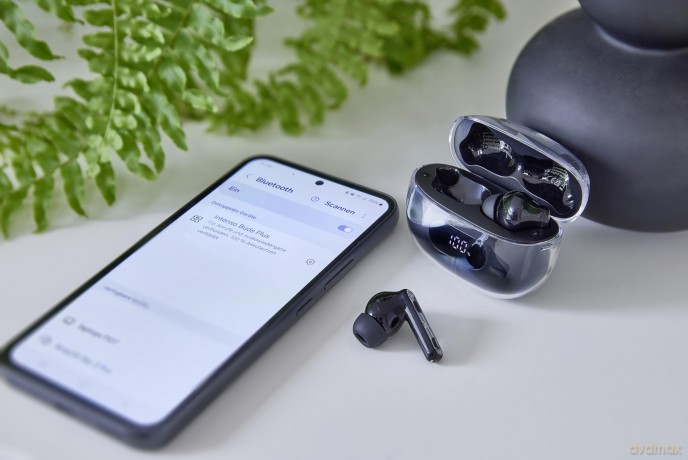 True Wireless Earphone Black Plus