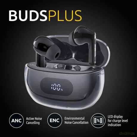 True Wireless Earphone Black Plus