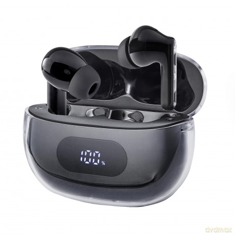True Wireless Earphone Black Plus