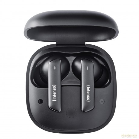 True Wireless Earphone Black Pro
