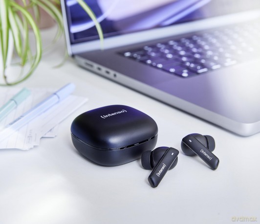 True Wireless Earphone Black Pro