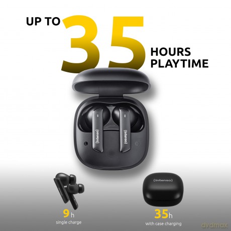 True Wireless Earphone Black Pro