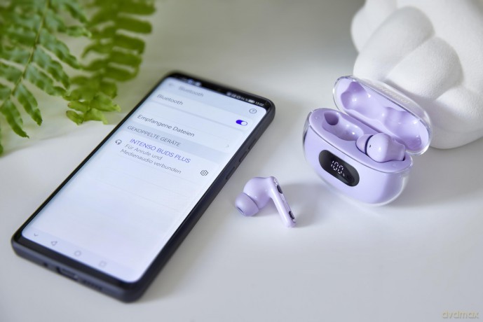 True Wireless Earphone Viola Plus