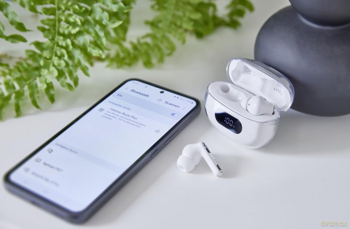 True Wireless Earphone White Plus