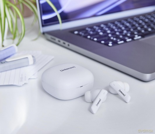 True Wireless Earphone White Pro