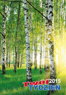 Kalendarz 2015 twój dzień w formacie a5 [KSIĄŻKA]