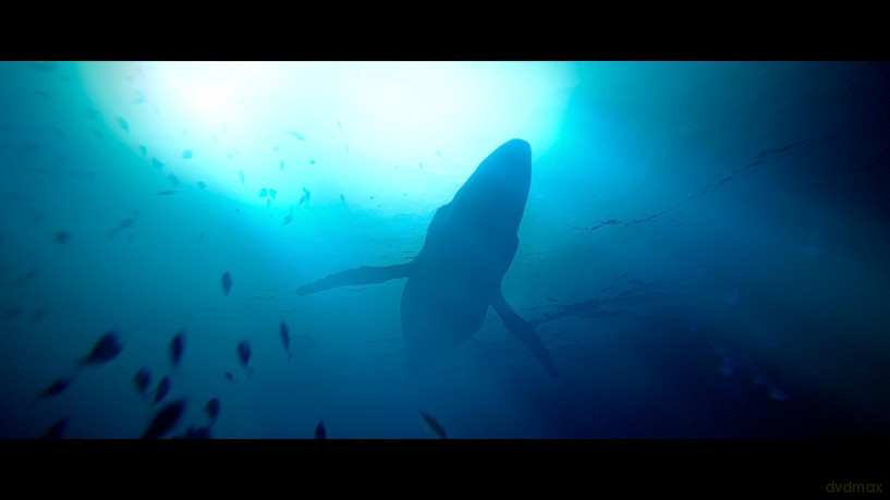 Under The Waves (Ps4)
