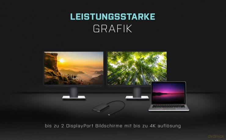 Usb-C Dual Displayport 4k