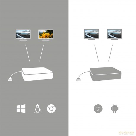 Usb-C Dual Displayport 4k