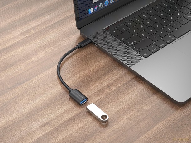 Usb-C To Usb-A Otg Adapter 2-Pack