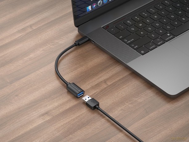 Usb-C To Usb-A Otg Adapter 2-Pack