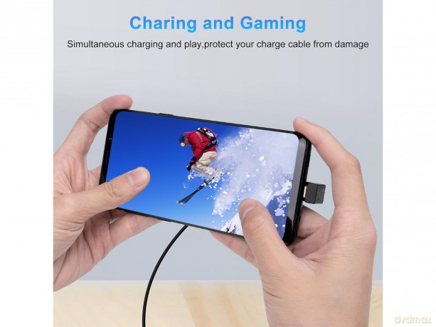 Usb-C U Plug Adapter 10gbps Pd 10