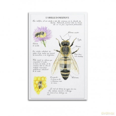 Wf Comf S2 12000, A++/A++ Esterna