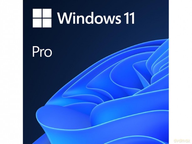 Win Pro 11 64bit It 1pk Dsp Oei Dvd
