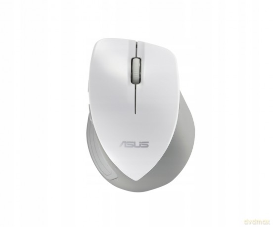 Wt465 Mouse/V2/Wh