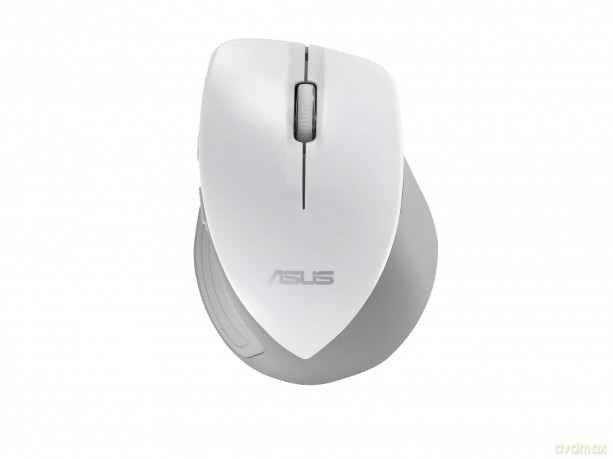 Wt465 Mouse/V2/Wh