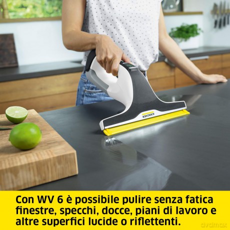 Wv 6 Plus Window Vac