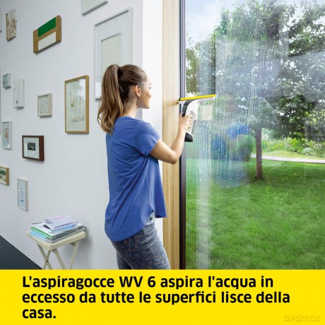 Wv 6 Plus Window Vac