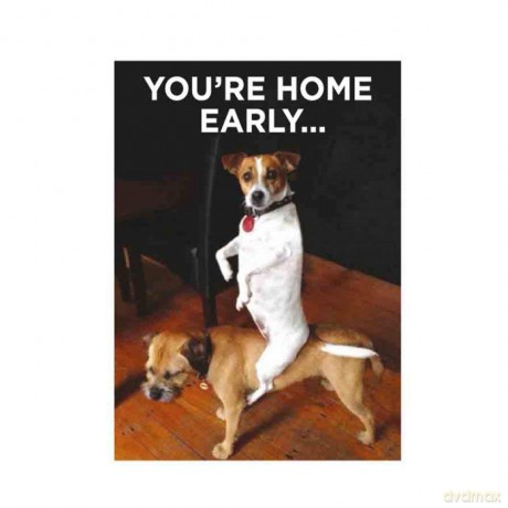 You' Re Home Early.. Frigorifero