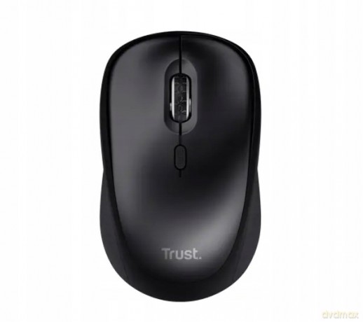 Yvi+ Wireless Mouse Glossy Black