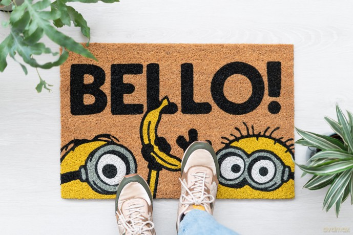 Zerbino Minions