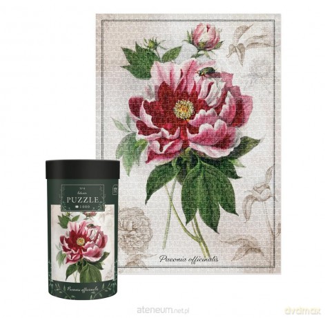INTER DRUK 1000 el. Botanic Peony [PUZZLE]