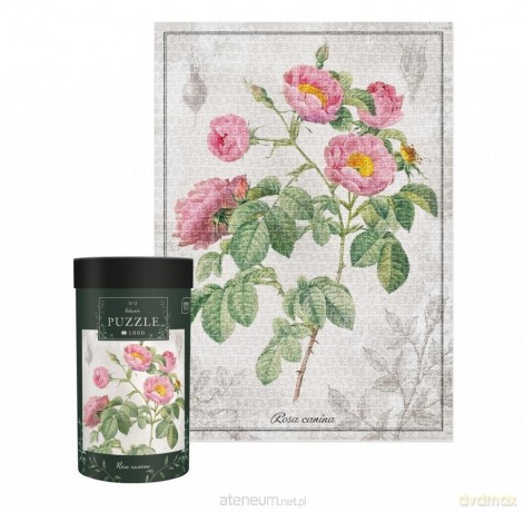 INTER DRUK 1000 el. Botanic Rose [PUZZLE]