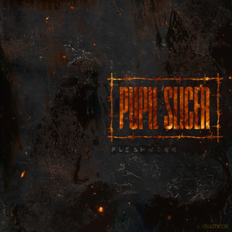 Pupil Slicer: Fleshwork [CD]