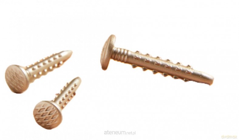 Creative Construction - Box of Nails